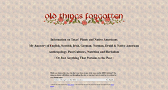 Desktop Screenshot of oldthingsforgotten.com